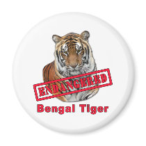 Endangered Bengal Tiger  Products Refrigerator Magnets