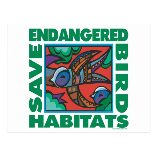 Endangered Birds Post Cards