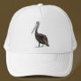 Endangered Brown Pellican (protected species)