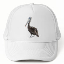 Endangered Brown Pellican (protected species) hats by OutDoorWorld Endangered Brown Pellican (protected species) hats