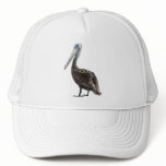 Endangered Brown Pellican (protected species) hats