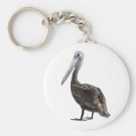 Endangered Brown Pellican (protected species) Keychain