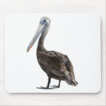 Endangered Brown Pellican (protected species) mousepads