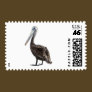 Endangered Brown Pellican (protected species)