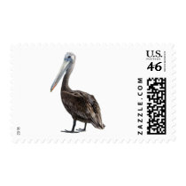 Endangered Brown Pellican (protected species) postage