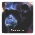 Endangered Chimpanzees African Wildlife Sticker