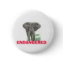 Endangered Elephant buttons by teleteddy Endangered Elephant buttons