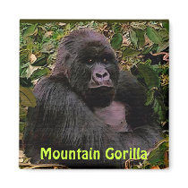 Endangered Mountain Gorilla Great Apes Art Magnet