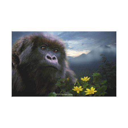 Endangered Mountain Gorilla named "HOPE" Art Gallery Wrap Canvas