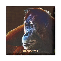 Endangered Orangutan Red Apes Wildlife Art Magnet