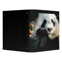 Endangered Panda Bear Avery Binder