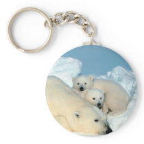Endangered / Polar Bear & Cubs by Steve Amstrup Keychains