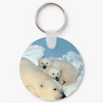 Endangered / Polar Bear & Cubs by Steve Amstrup keychains by moxieann Endangered / Polar Bear & Cubs by Steve Amstrup keychains