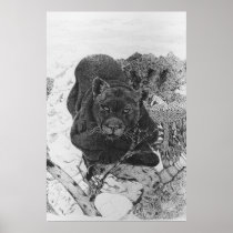Endangered Posters