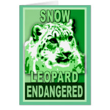 Endangered Snow Leopard Pop Art Tshirts Cards