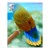 Endangered St Vincent Parrot Poster posters