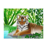 Endangered Sumatran Tiger Postcard