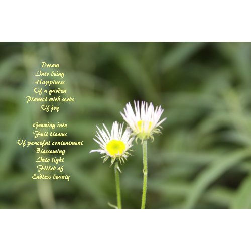 Endless Beauty poem poster print