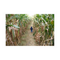 Endless Journeys Print