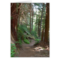 Endless possibilities 2 cards by imwest Endless possibilities 2 cards