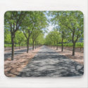 Endless Road mousepads