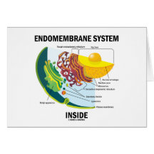 Endomembrane System Inside Cards