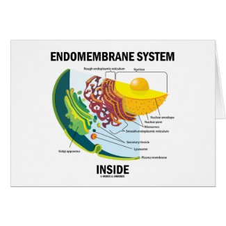 Endomembrane System Inside Cards