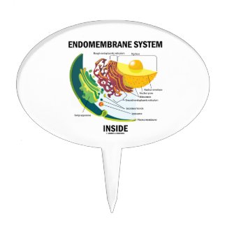 Endomembrane System Inside (Cell Biology) Cake Toppers