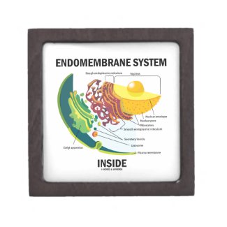 Endomembrane System Inside (Cell Biology) Premium Trinket Box