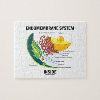 Endomembrane System Inside (Cell Biology) Jigsaw Puzzles