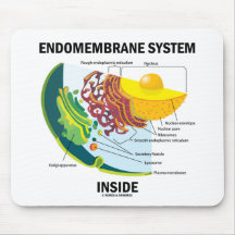 Endomembrane System Inside Mouse Pad