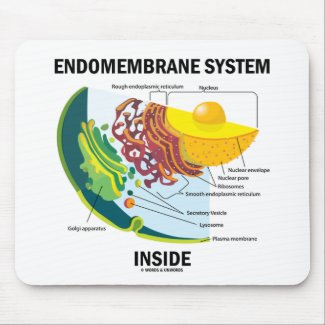 Endomembrane System Inside Mouse Pad
