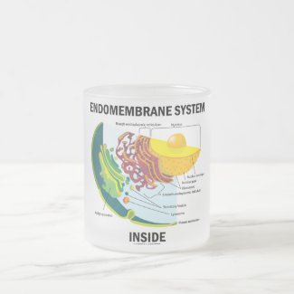 Endomembrane System Inside Mugs