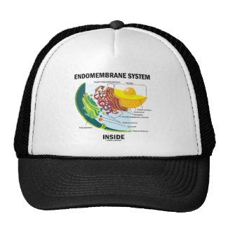 Endomembrane System Inside Trucker Hat