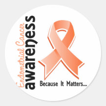 Endometrial Cancer Awareness 5 Stickers