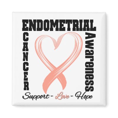 Endometrial Cancer Awareness Brushed Heart Ribbon magnets