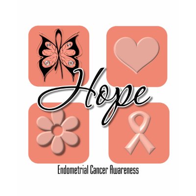 Endometrial Cancer Hope Love Inspire Awareness tee shirts