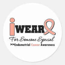 Endometrial Cancer I Wear Peach Ribbon For Someone Round Stickers