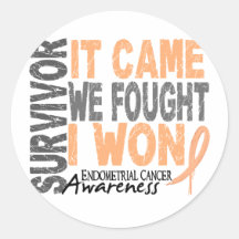 Endometrial Cancer Survivor It Came We Fought Stickers
