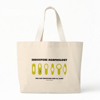 Endospore Morphology Who Said Endospores Were All bag