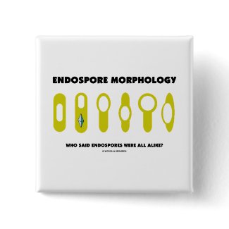 Endospore Morphology Who Said Endospores Were All button