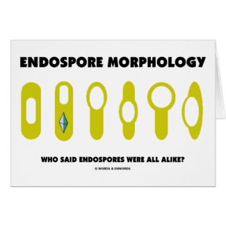 Endospore Morphology Who Said Endospores Were All card