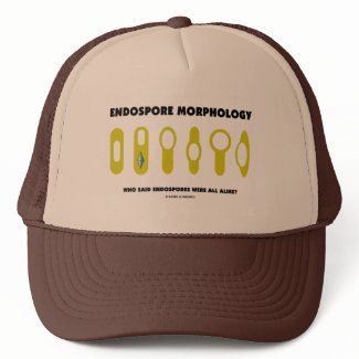 Endospore Morphology Who Said Endospores Were All hat