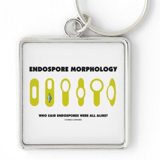 Endospore Morphology Who Said Endospores Were All keychain