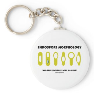 Endospore Morphology Who Said Endospores Were All keychain