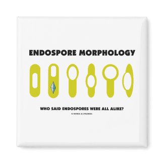 Endospore Morphology Who Said Endospores Were All magnet