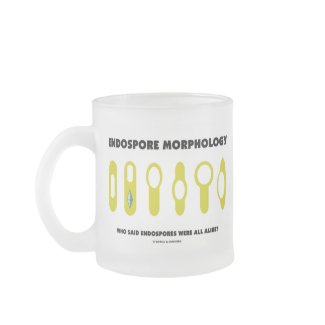 Endospore Morphology Who Said Endospores Were All mug