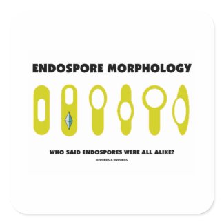 Endospore Morphology Who Said Endospores Were All sticker