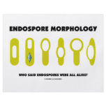 Endospore Morphology - Who Said Were All Alike? Full Color Flyer