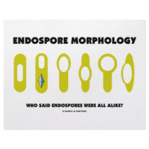 Endospore Morphology - Who Said Were All Alike? letterhead
